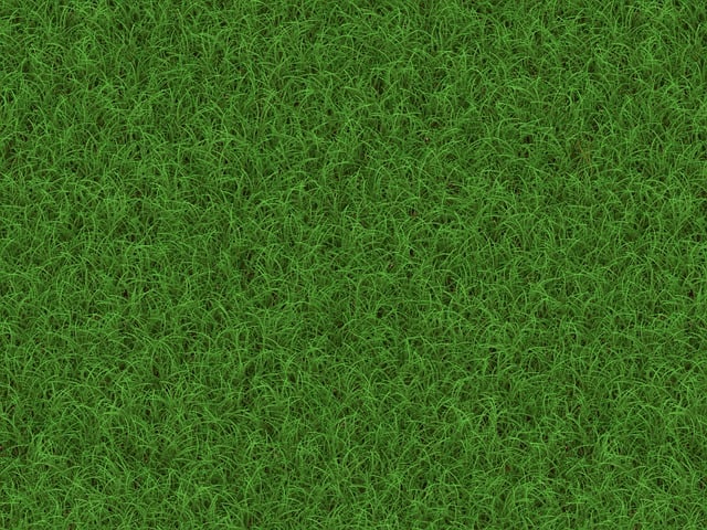 Lawn Care