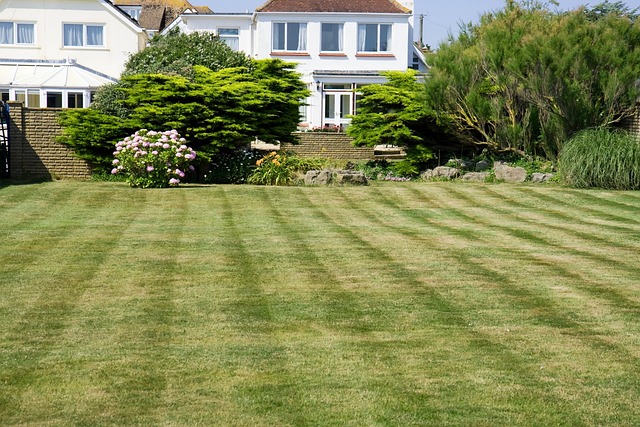 Lush Landscapes: Expert Lawn Care and Design Strategies for a Vibrant Garden