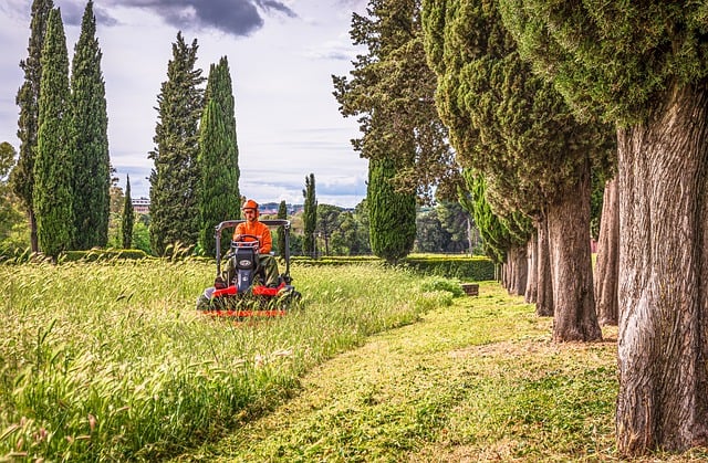 Landscaping Mastery: Creating Your Ideal Outdoor Space with Expert Lawn Care