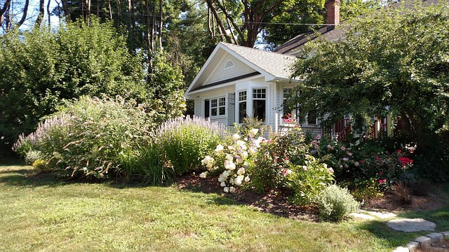 Greening Your Yard: Sustainable Care & Composting for Eco-Friendly Lawns