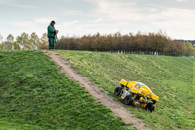 Lawn Care and Landscaping: Transforming Backyards into Lifelong Oases