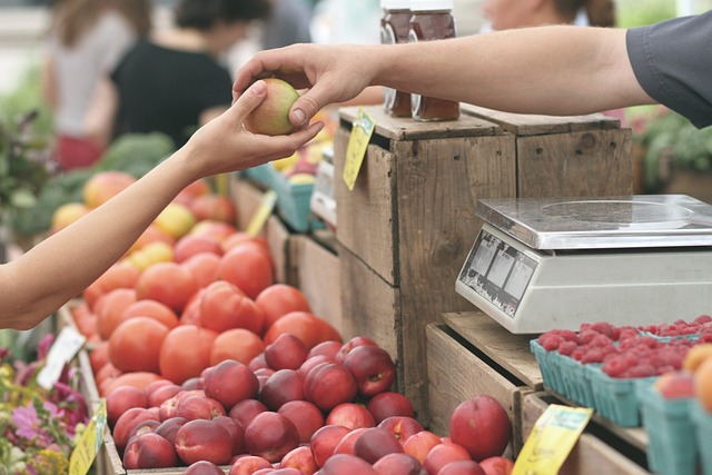 Eco-Friendly Yard Care: Green Strategies for Homeowners with a Focus on Yard Waste Recycling