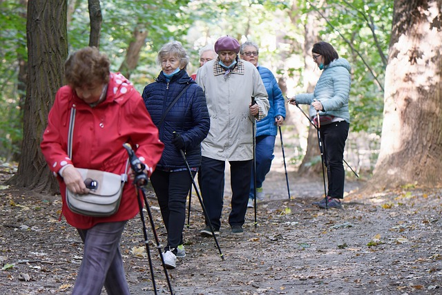 Elderly Companion Services: A Lifeline for Caregivers and Seniors Alike