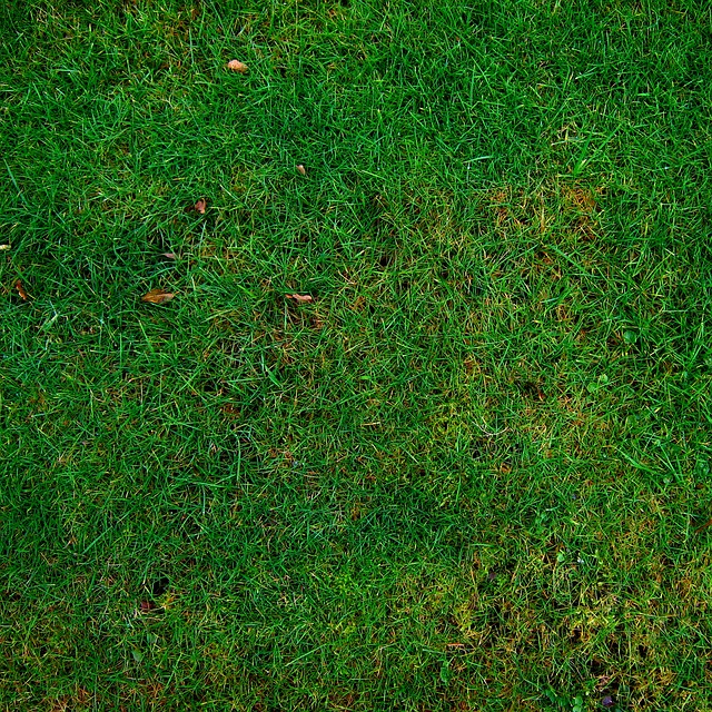 Mastering Efficient Irrigation: A Guide to Installing and Maintaining Your Lawn Care System