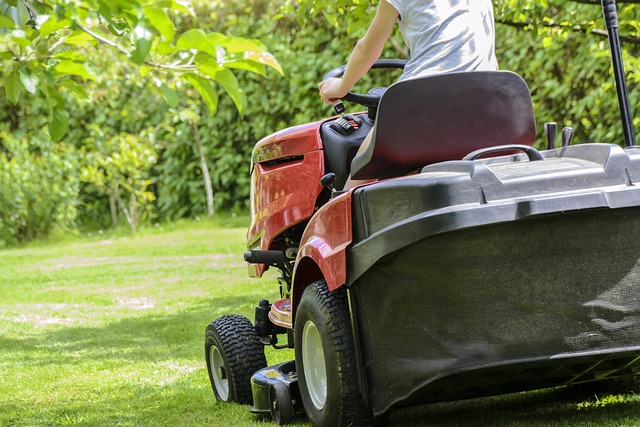 Optimizing Lawn Health: Expertise in Soil and Grass Varieties for Sustainable Turf Management