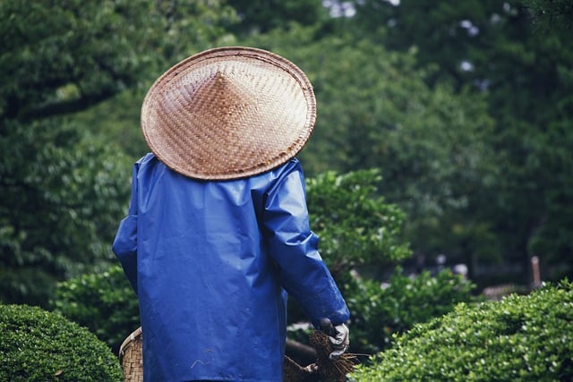 Eco-Friendly Yard Waste Solutions for Seniors: Streamlining Removal & Recycling