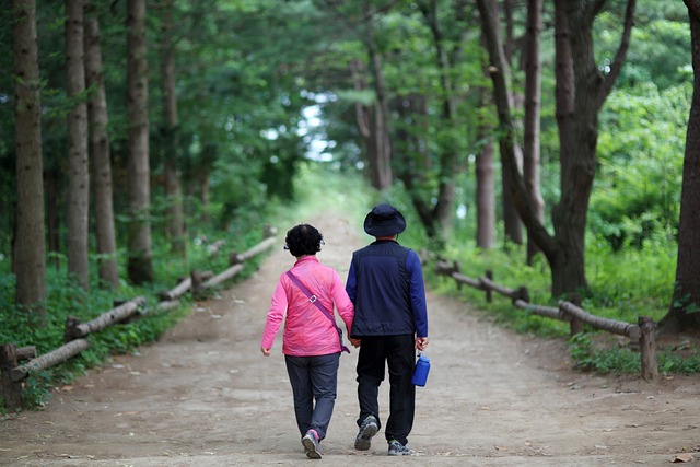 Nourishing Minds and Bodies: Elderly Companionship in Meal Preparation