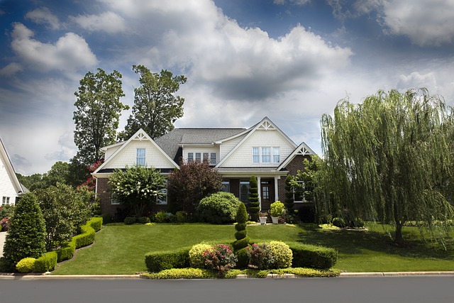 Lawn Care