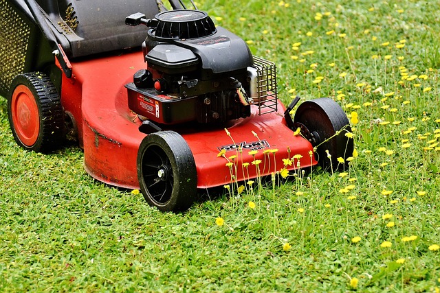 Elevate Lawn Care and Landscaping: Mulching, Edging Techniques