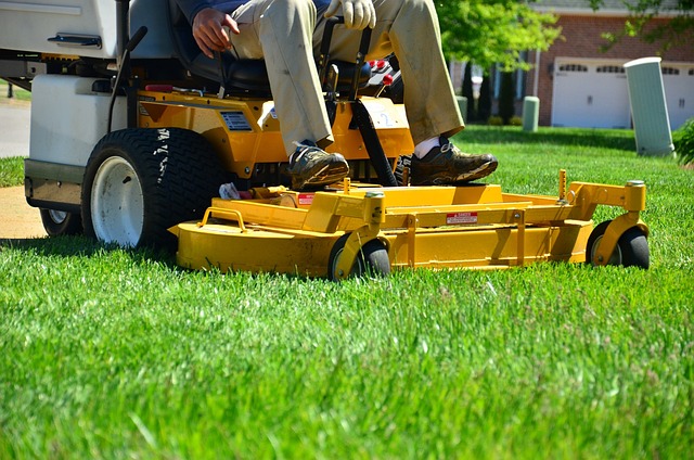 lawn-care-640x480-73769684.jpeg