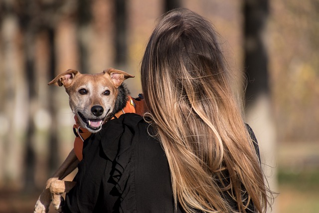 Ensuring Peace of Mind: The Role of Trustworthy Pet Sitters